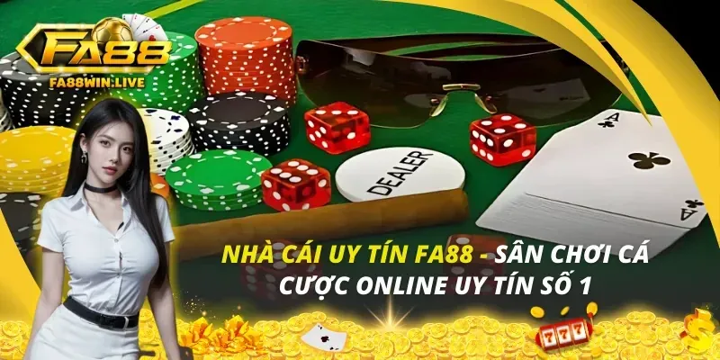Câu hỏi thường gặp về bigbosss